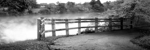 Lake Path Black Ornate Wood Framed Art Print with Double Matting by Poynter, Kelly