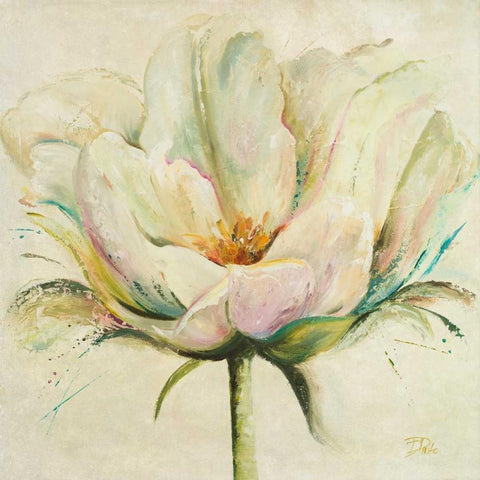 White Double Tulips II Black Ornate Wood Framed Art Print with Double Matting by Pinto, Patricia