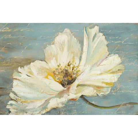 White Peony Black Modern Wood Framed Art Print with Double Matting by Pinto, Patricia
