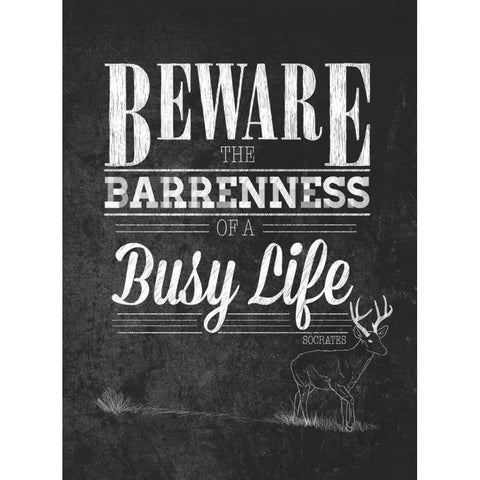 Beware with Border Black Modern Wood Framed Art Print with Double Matting by Sundance Studio