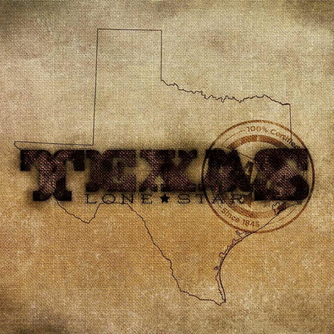 Texas Lone Star Border White Modern Wood Framed Art Print by Sundance Studio