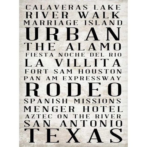 Southwest Text Border I Black Modern Wood Framed Art Print with Double Matting by Sundance Studio