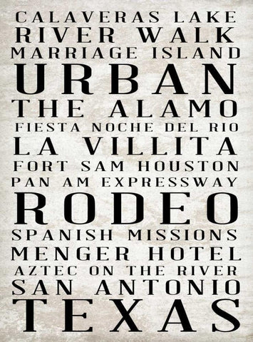 Southwest Text Border I Black Ornate Wood Framed Art Print with Double Matting by Sundance Studio