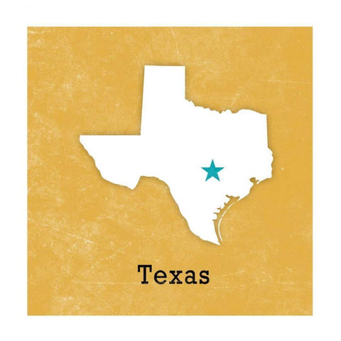 Texas Black Modern Wood Framed Art Print with Double Matting by SD Graphics Studio