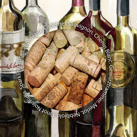 BandG Bottles with Corks I Black Modern Wood Framed Art Print with Double Matting by French-Roussia, Heather A.