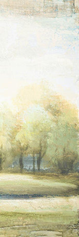 Late Afternoon Panel I Black Ornate Wood Framed Art Print with Double Matting by Marcon, Michael