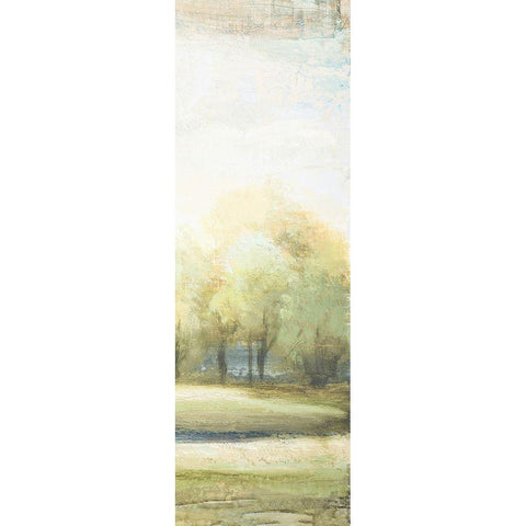 Late Afternoon Panel I Black Modern Wood Framed Art Print by Marcon, Michael