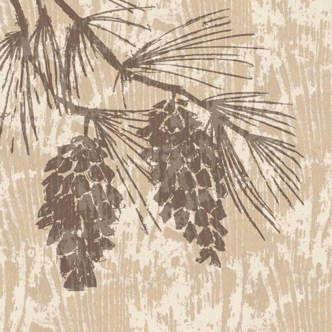 Spirit Lodge II White Modern Wood Framed Art Print with Double Matting by Biscardi, Nicholas