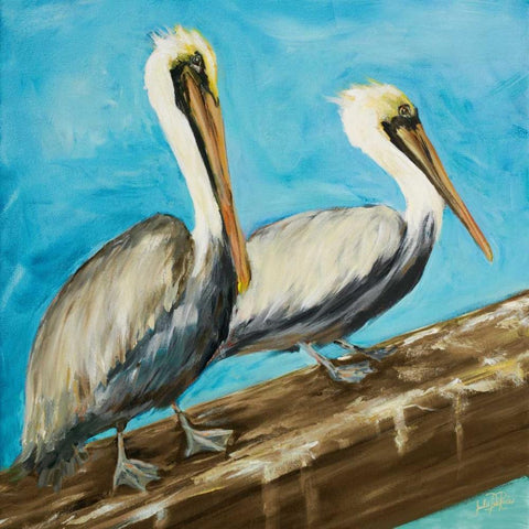 Pelicans on Post II Black Modern Wood Framed Art Print with Double Matting by DeRice, Julie