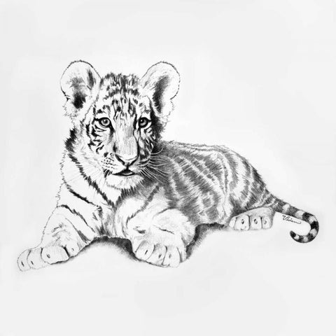 Tiger White Modern Wood Framed Art Print by Rhyan, Vivien