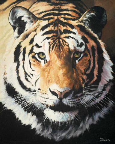 Tiger White Modern Wood Framed Art Print with Double Matting by Rhyan, Vivien