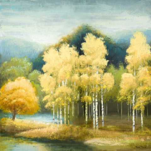 Birchwood Black Modern Wood Framed Art Print by Marcon, Michael