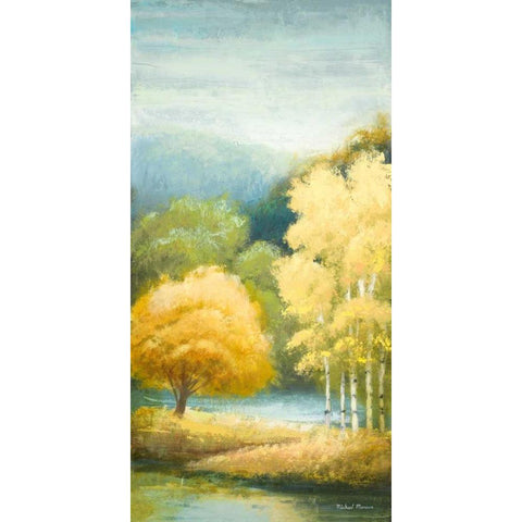 Birchwood I Black Modern Wood Framed Art Print with Double Matting by Marcon, Michael