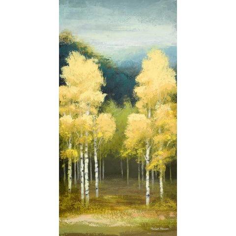 Birchwood II Black Modern Wood Framed Art Print by Marcon, Michael