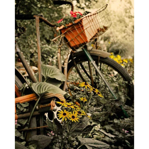 In the Fields I Black Modern Wood Framed Art Print with Double Matting by Nawrocke, Bruce
