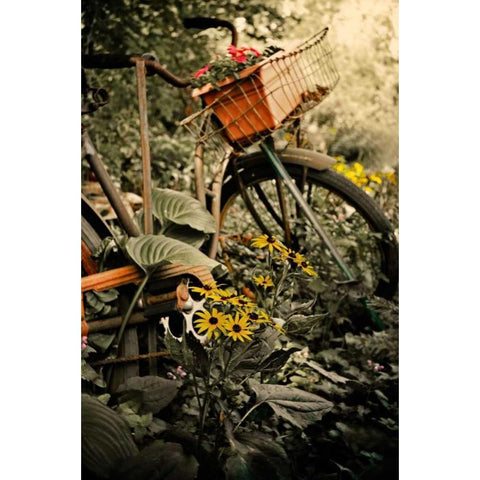 In the Fields I Black Modern Wood Framed Art Print with Double Matting by Nawrocke, Bruce