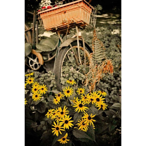 In the Fields II Black Modern Wood Framed Art Print with Double Matting by Nawrocke, Bruce