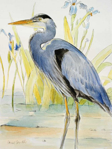 Great Blue Heron Black Ornate Wood Framed Art Print with Double Matting by Loreth, Lanie