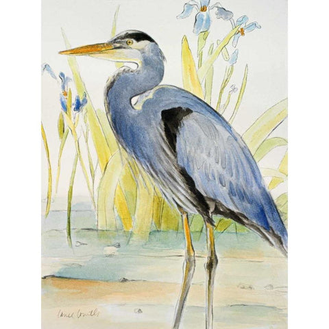 Great Blue Heron White Modern Wood Framed Art Print by Loreth, Lanie