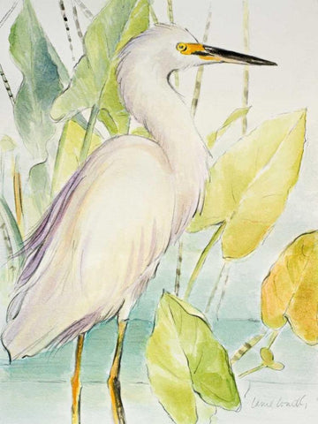 Snowy Egret White Modern Wood Framed Art Print with Double Matting by Loreth, Lanie