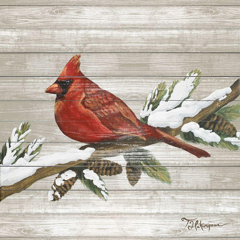Winter Red Bird on Wood II Black Modern Wood Framed Art Print by Hakimipour, Tiffany