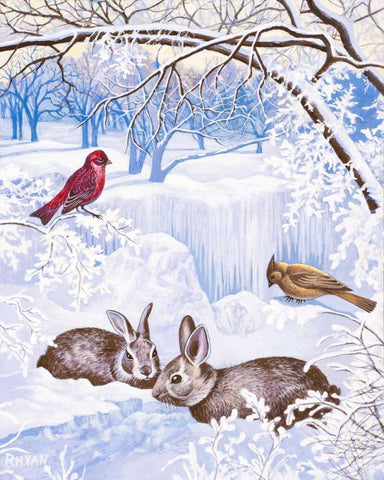 Nature in Winter I White Modern Wood Framed Art Print with Double Matting by Rhyan, Vivien
