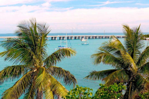 Beautiful Day Black Ornate Wood Framed Art Print with Double Matting by Peck, Gail