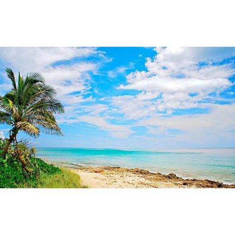 Paradise Black Modern Wood Framed Art Print with Double Matting by Peck, Gail