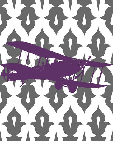 Flight Patterns I White Modern Wood Framed Art Print with Double Matting by Marcon, Michael