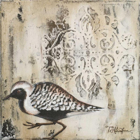 Couture Sandy Shore I White Modern Wood Framed Art Print by Hakimipour, Tiffany