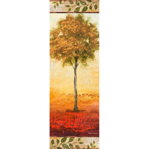 The Way of Nature II White Modern Wood Framed Art Print by Marcon, Michael