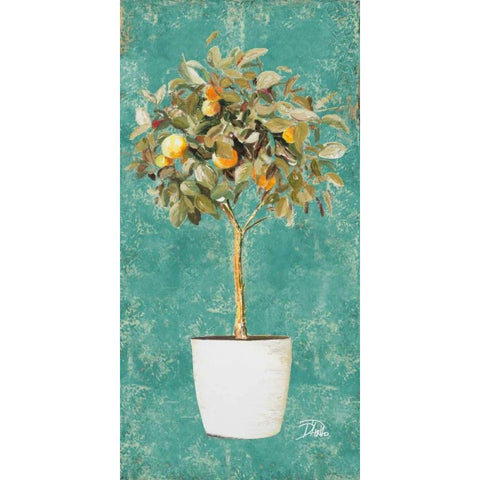 Essential Compliment II White Modern Wood Framed Art Print by Pinto, Patricia