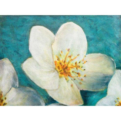 Purely Elegant I Black Modern Wood Framed Art Print with Double Matting by Johnson, Walt