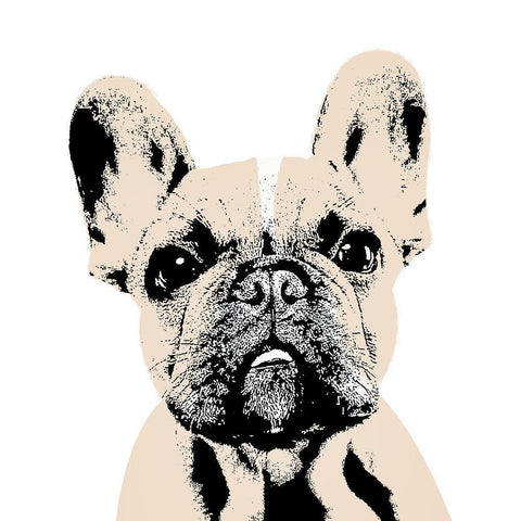French Bulldog Black Modern Wood Framed Art Print with Double Matting by SD Graphics Studio