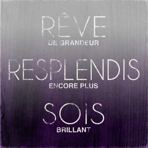 Dream, Sparkle, Shine (French) Black Modern Wood Framed Art Print with Double Matting by SD Graphics Studio