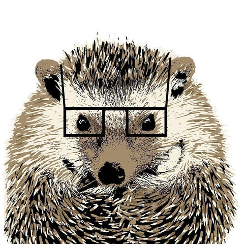 Good Looking Hedgehog Black Modern Wood Framed Art Print with Double Matting by SD Graphics Studio