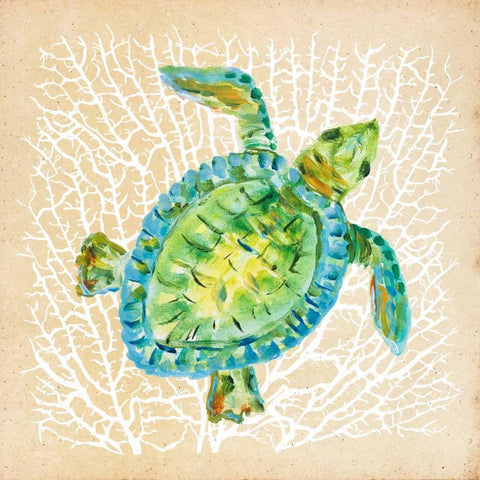 Sealife Turtle Black Ornate Wood Framed Art Print with Double Matting by DeRice, Julie