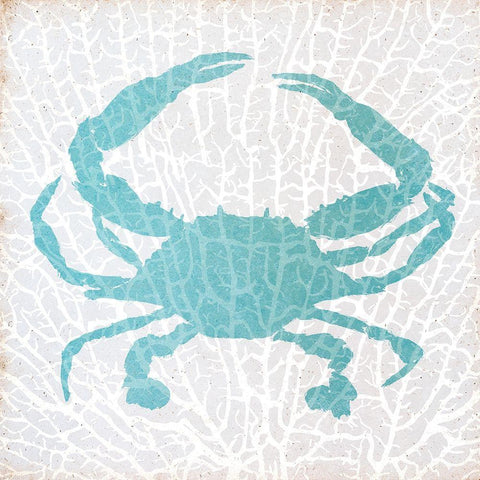 Sealife on Coral II White Modern Wood Framed Art Print with Double Matting by DeRice, Julie