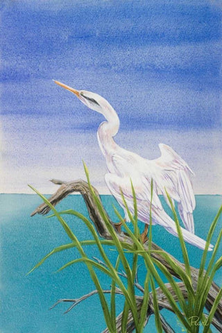 Seabirds At Noon I White Modern Wood Framed Art Print with Double Matting by Urban Pearl Collection, Llc