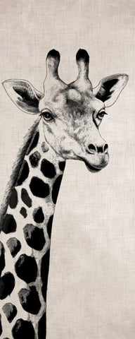Giraffe I White Modern Wood Framed Art Print with Double Matting by Rhyan, Vivien