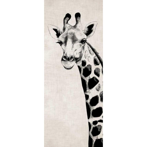 Giraffe II White Modern Wood Framed Art Print by Rhyan, Vivien