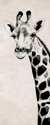 Giraffe II Black Ornate Wood Framed Art Print with Double Matting by Rhyan, Vivien