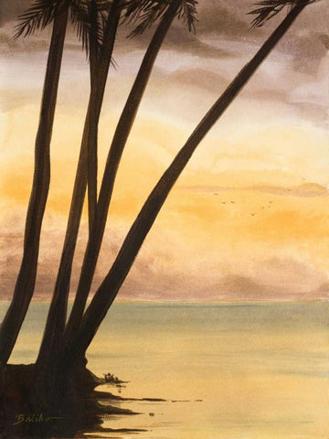 Approaching Horizon II Black Ornate Wood Framed Art Print with Double Matting by Baliko, Linda