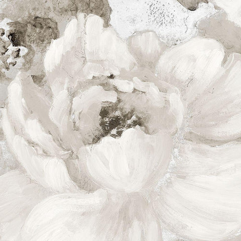 Light Grey Flowers I White Modern Wood Framed Art Print with Double Matting by Loreth, Lanie