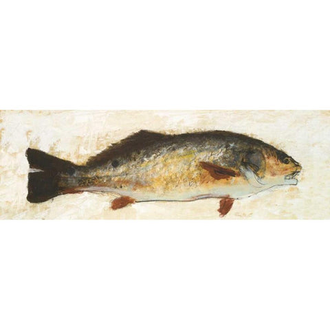 Catch of the Day I Gold Ornate Wood Framed Art Print with Double Matting by Johnson, Walt