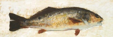 Catch of the Day I White Modern Wood Framed Art Print with Double Matting by Johnson, Walt