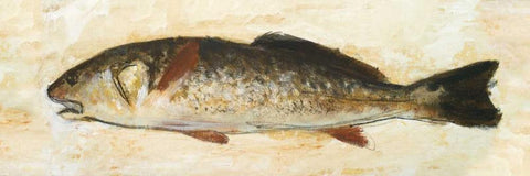 Catch of the Day II Black Ornate Wood Framed Art Print with Double Matting by Johnson, Walt