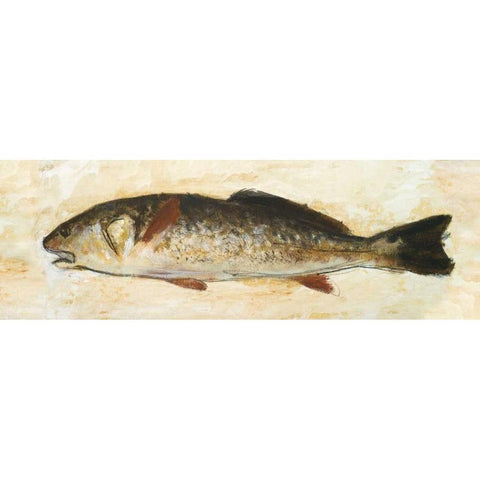 Catch of the Day II Black Modern Wood Framed Art Print with Double Matting by Johnson, Walt
