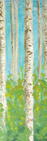 Vibrant Birchwood II Black Ornate Wood Framed Art Print with Double Matting by Johnson, Walt