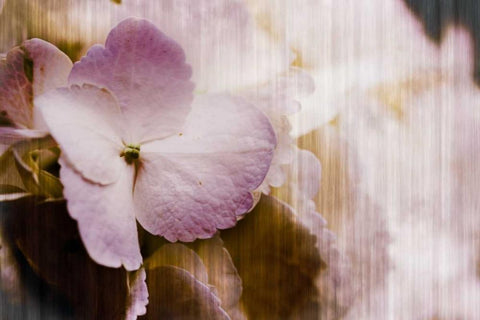 Summer Home I White Modern Wood Framed Art Print with Double Matting by Slivka, Jane